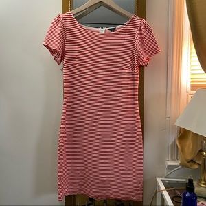 Anne Taylor stretch body con dress